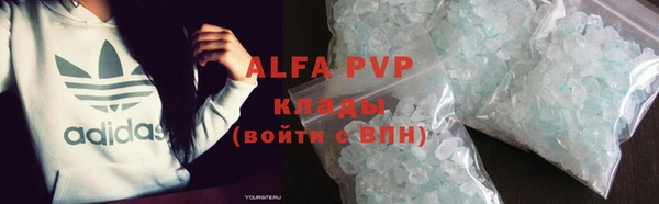 кокс Касимов