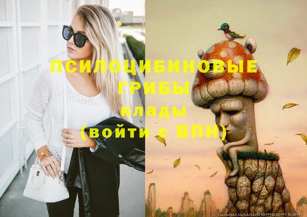 mdma Каменка