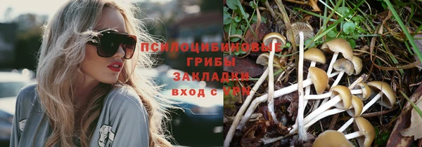 кокс Касимов