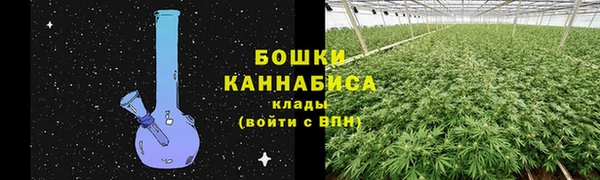 кокс Касимов